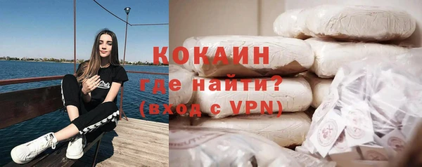 СК Новодвинск
