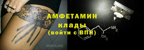СК Новодвинск
