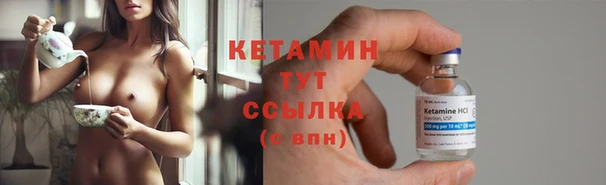 СК Новодвинск
