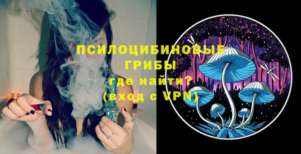 СК Новодвинск