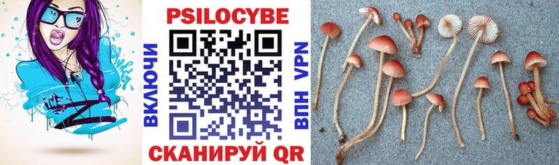 Псилоцибиновые грибы GOLDEN TEACHER  Находка 