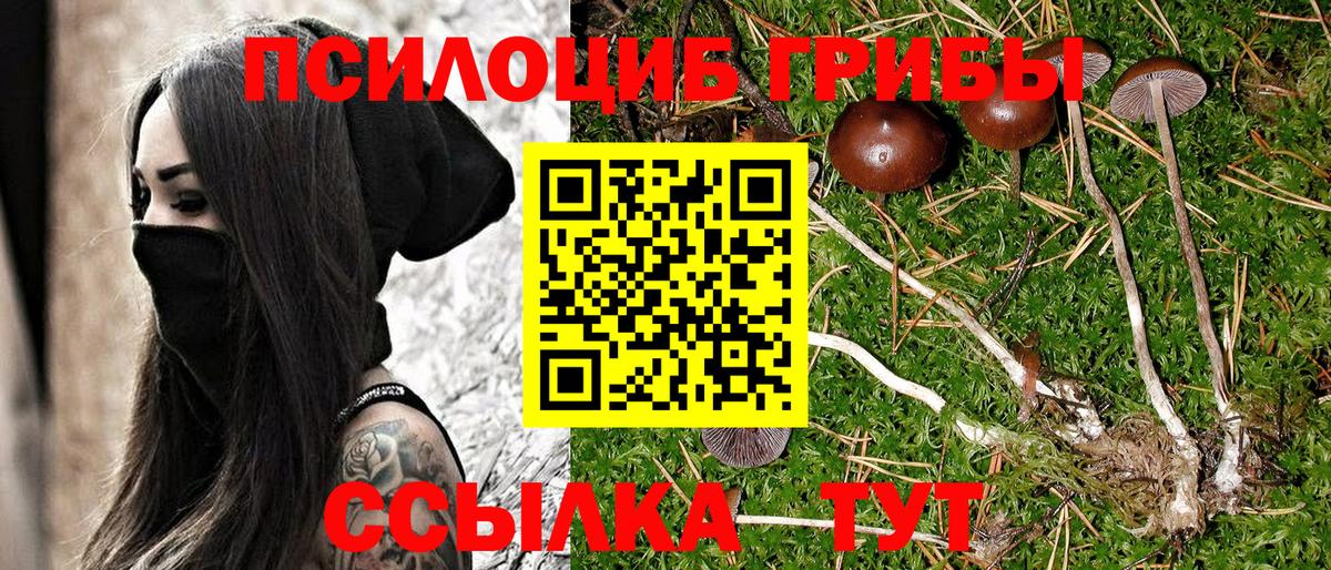 Галлюциногенные грибы мицелий Находка