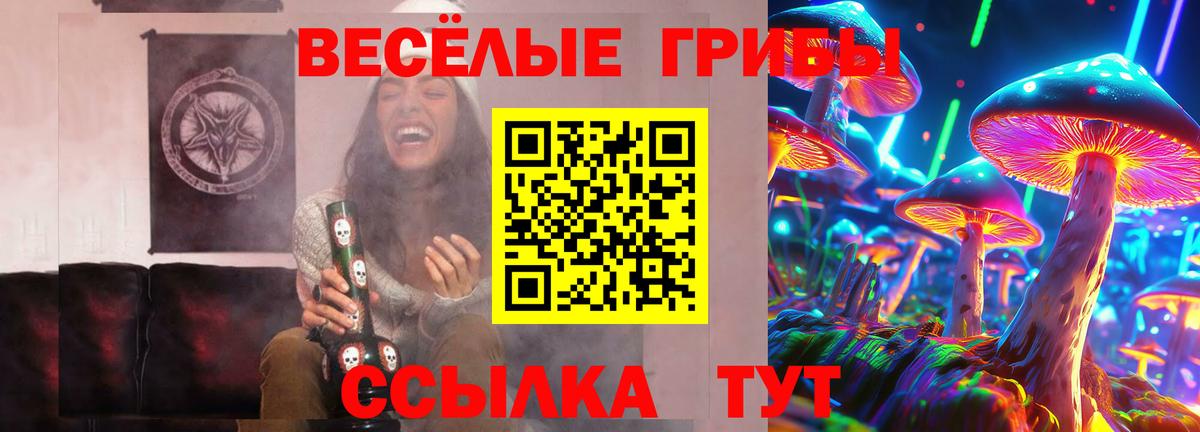 Галлюциногенные грибы Psilocybe  Псилоцибиновые грибы MAGIC MUSHROOMS  Вход с VPN  Находка 
